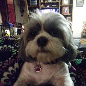 Meet your Posher, Trudie